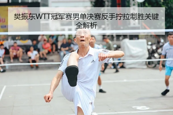 樊振东WTT冠军赛男单决赛反手拧拉制胜关键全解析